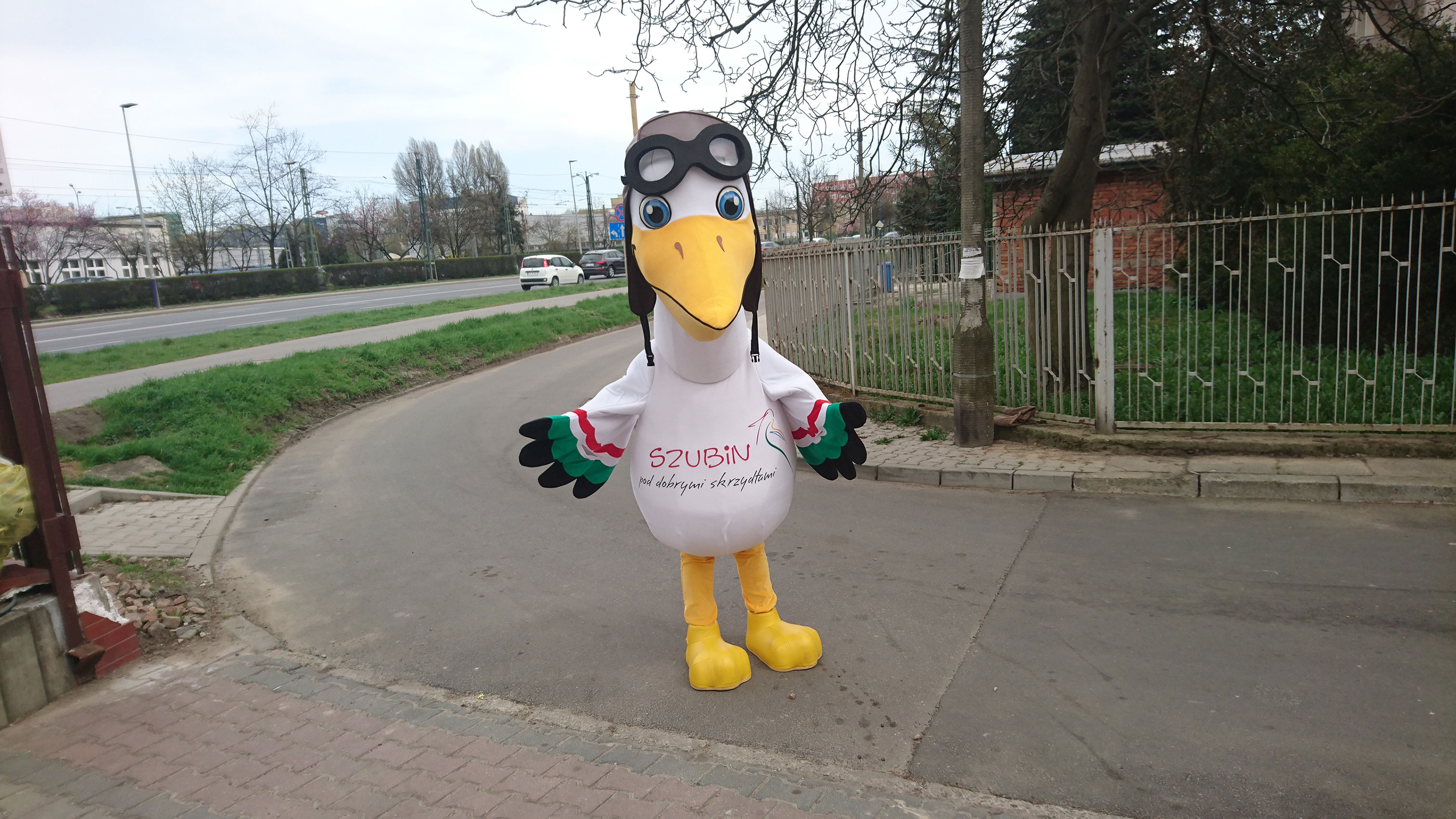 Na fotografii widnieje kostium reklamowy Pelikan pozujący do zdjęcia w okolicy siedziby firmy Elabika, na jednej z ulic Krakowa